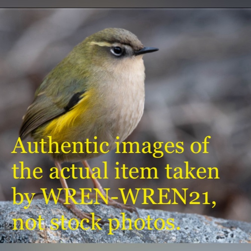 Anne Klein Women’s Watch -00052 - Picture 8 of 8